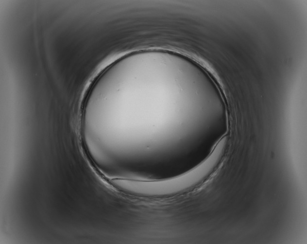 X0000086101525200704132136