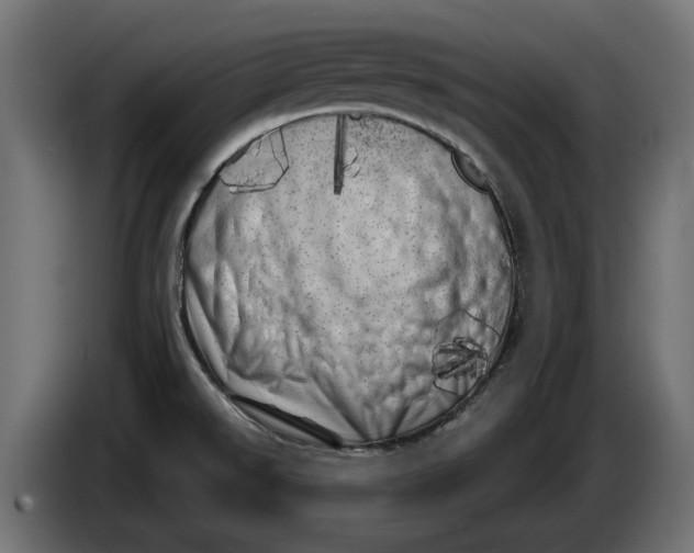 X0000086101526200704132136