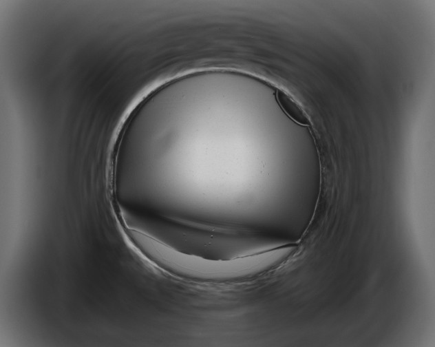 X0000086101527200704132136
