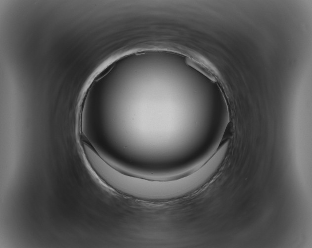 X0000086101528200704132136