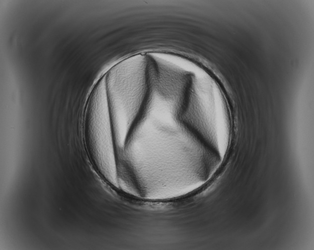 X0000086101529200704132136
