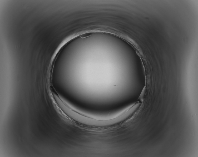 X0000086101530200704132136