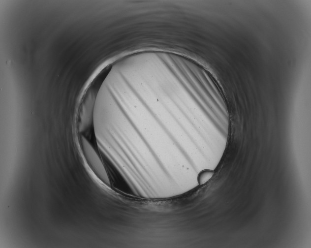 X0000086101531200704132136
