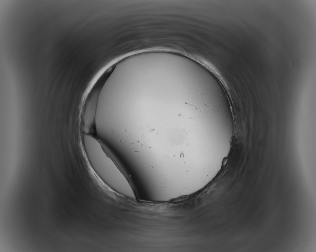 X0000086101532200704132136