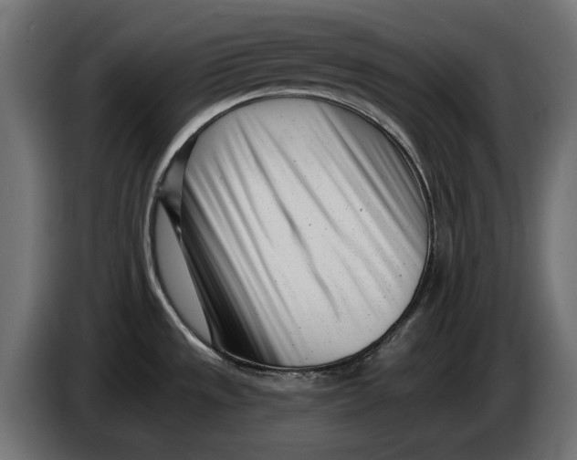 X0000086101533200704132136
