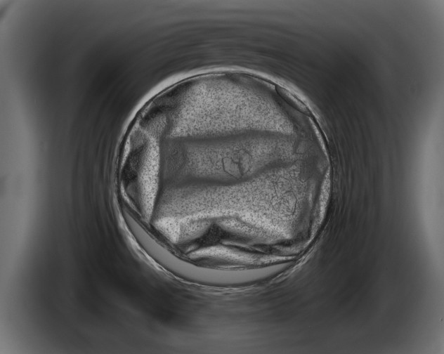 X0000086101534200704132136