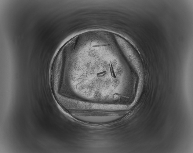 X0000086101535200704132136