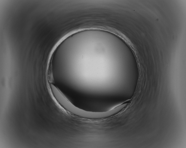 X0000086101536200704132136