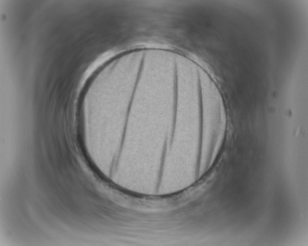 X0000086100008200704202252