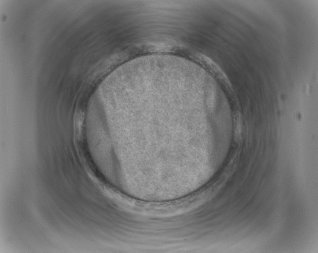X0000086100026200704202252