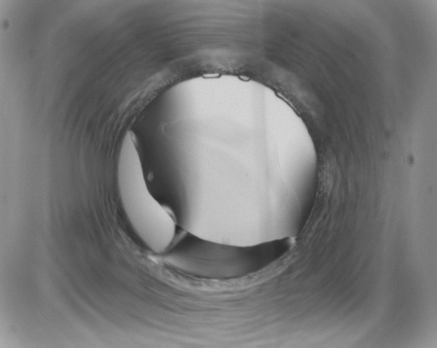 X0000086100027200704202252