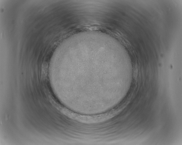 X0000086100030200704202252
