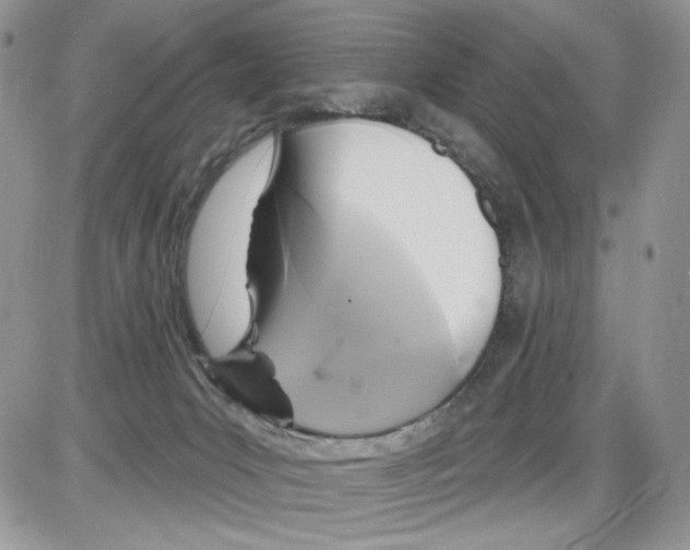 X0000086100031200704202252
