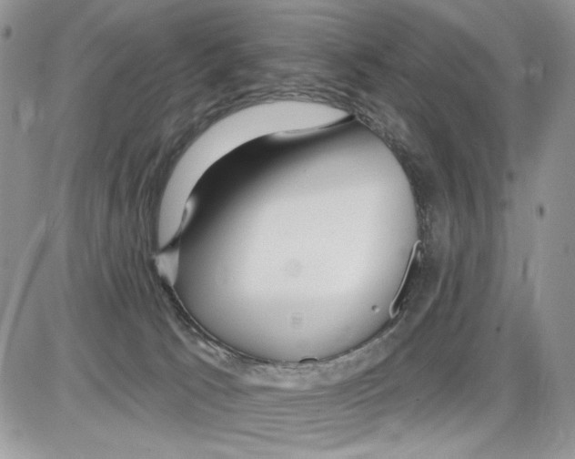 X0000086100033200704202252