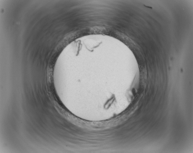X0000086100038200704202252