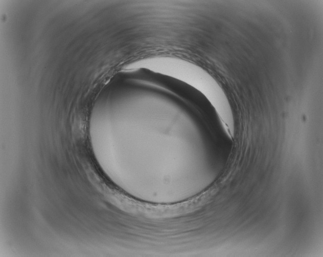 X0000086100039200704202252