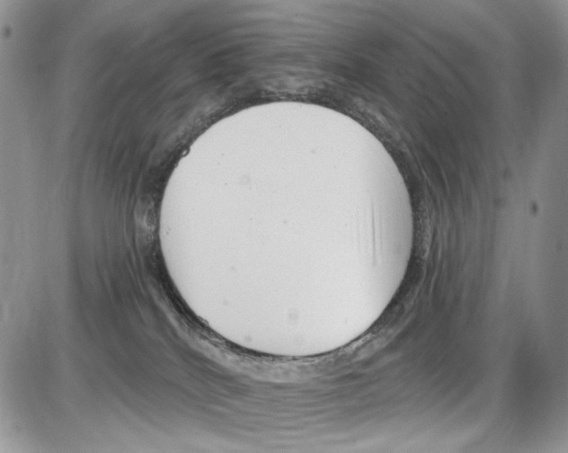 X0000086100040200704202252