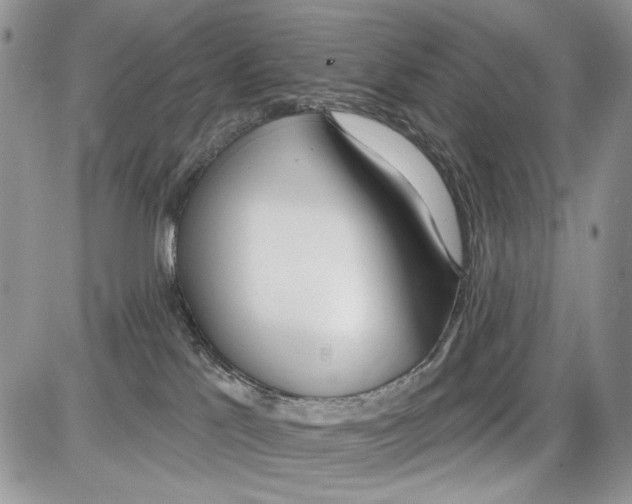 X0000086100041200704202252