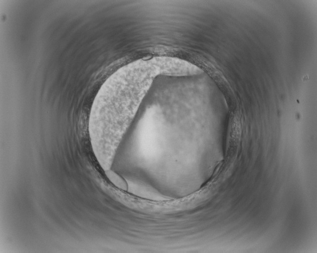 X0000086100043200704202252