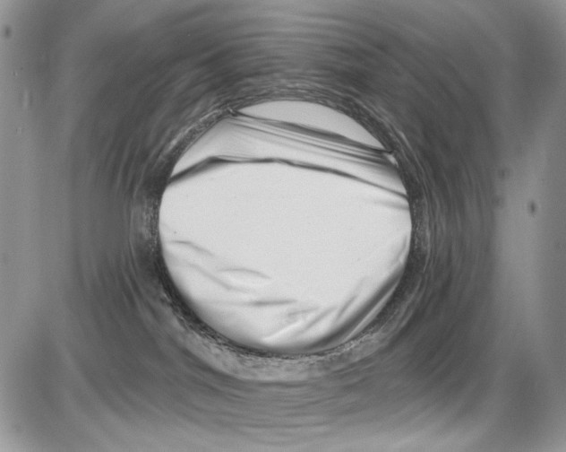 X0000086100044200704202252