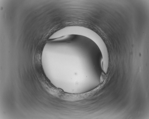 X0000086100045200704202252