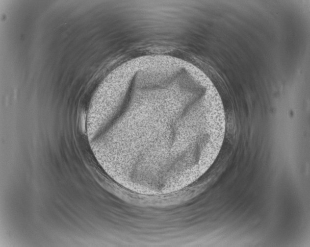 X0000086100046200704202252