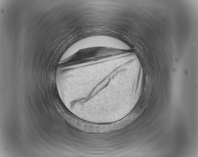 X0000086100048200704202252