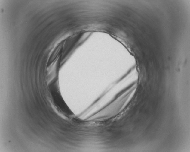 X0000086100050200704202251