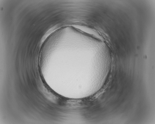 X0000086100051200704202251