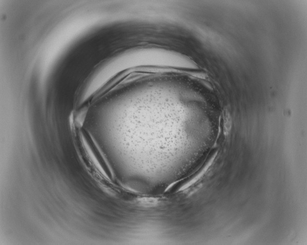 X0000086100052200704202251