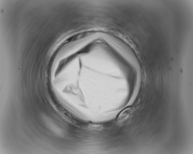X0000086100055200704202251