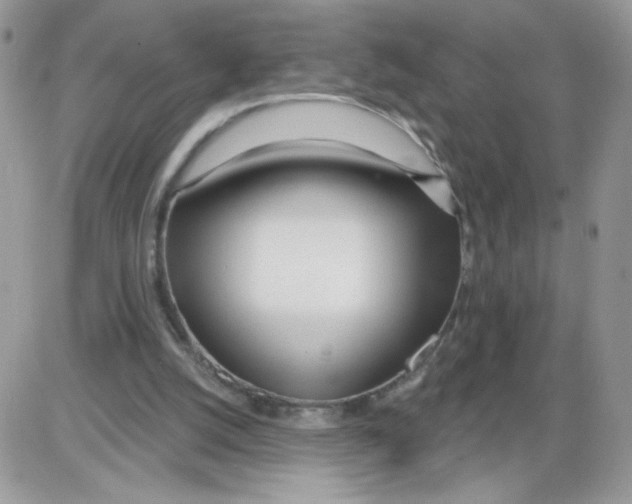 X0000086100056200704202251
