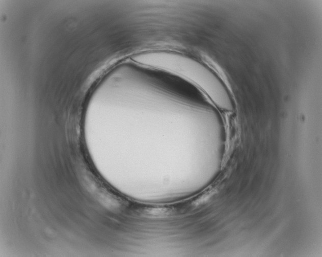 X0000086100059200704202251