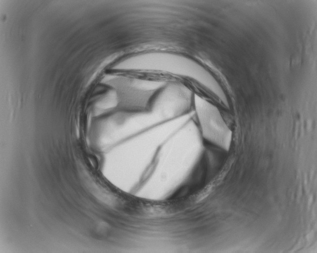 X0000086100062200704202251