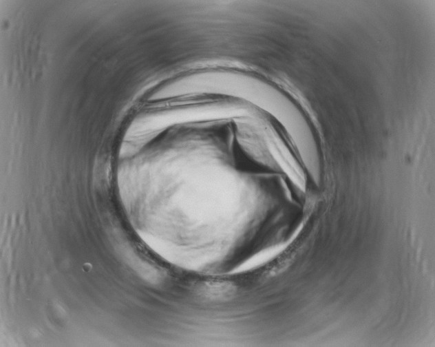 X0000086100063200704202251