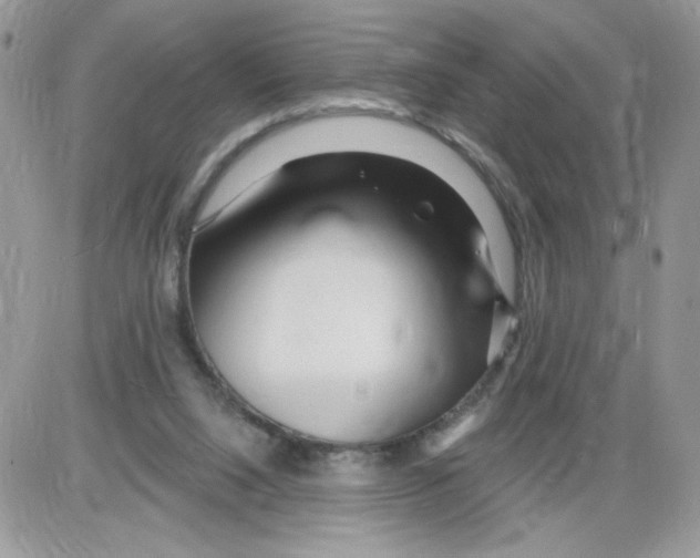 X0000086100064200704202251
