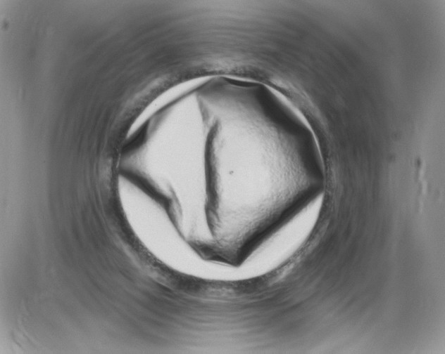 X0000086100066200704202251
