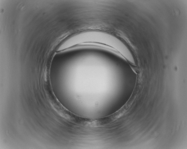 X0000086100068200704202251