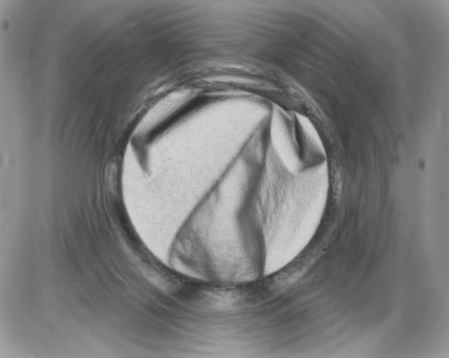 X0000086100071200704202251