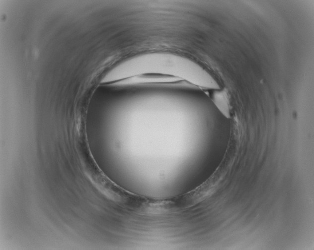 X0000086100072200704202251