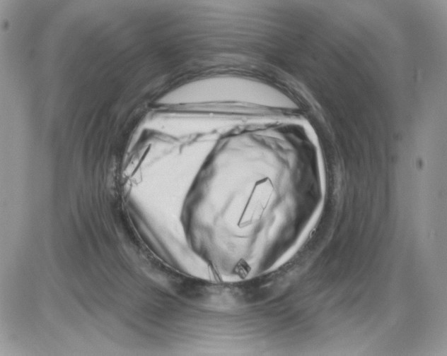 X0000086100073200704202251