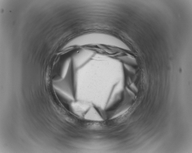 X0000086100074200704202251