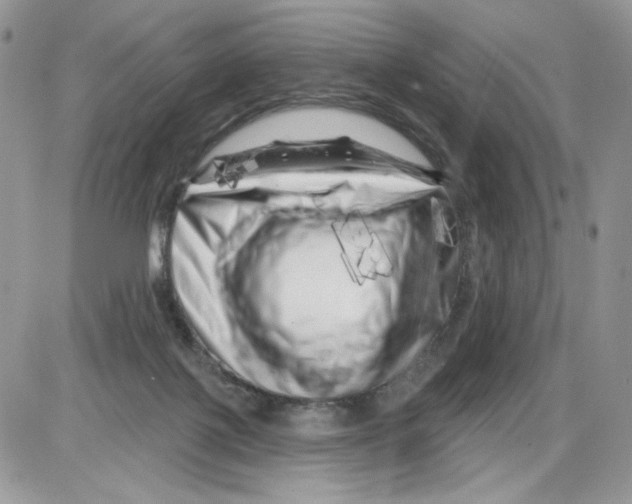 X0000086100075200704202251