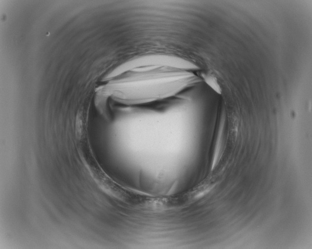 X0000086100080200704202251