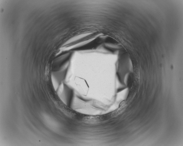 X0000086100082200704202251