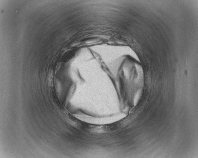 X0000086100083200704202251