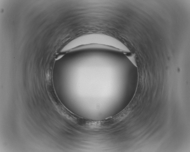 X0000086100084200704202251