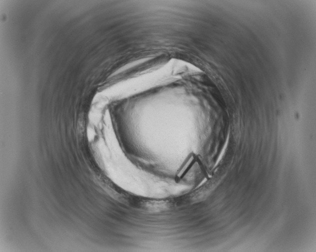 X0000086100085200704202251