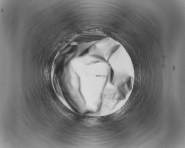 X0000086100086200704202251