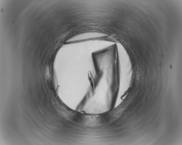 X0000086100089200704202252